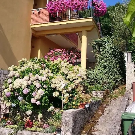 Apartamento In 34158