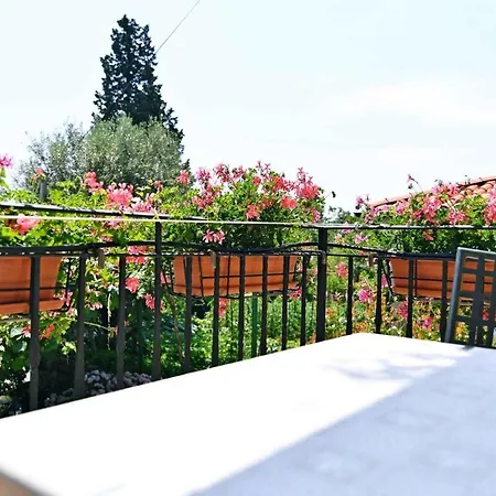 In 34158 Appartamento